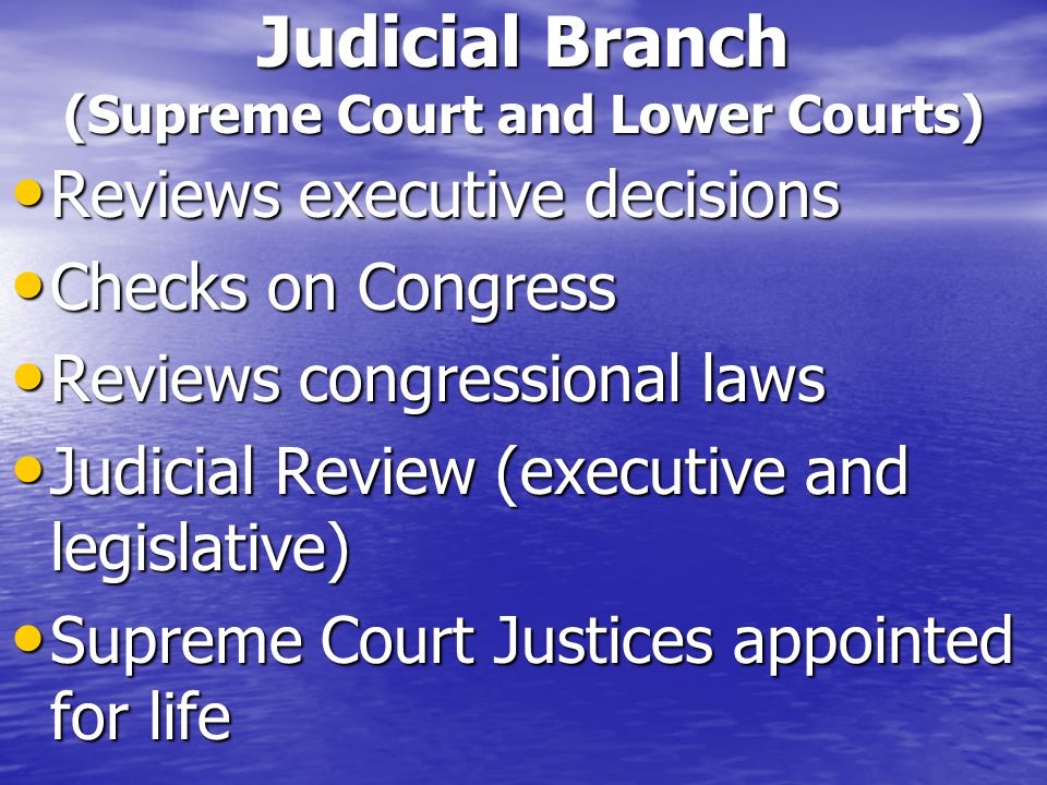 Judicial Branch (Supreme Court and Lower Courts)