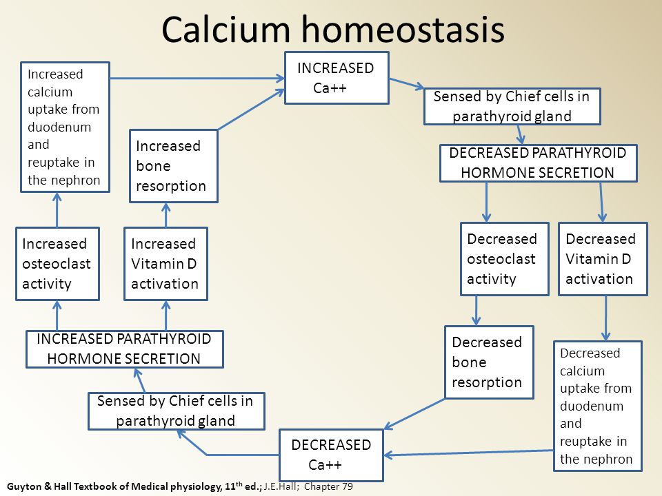 Calcium and sperm