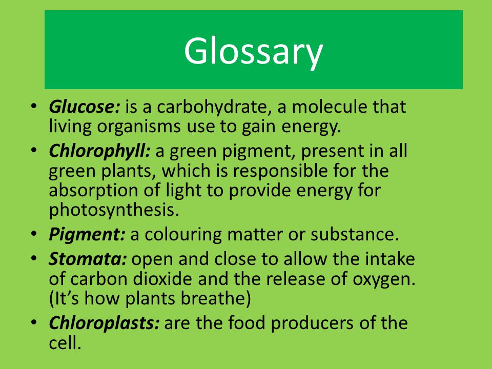 Glossary Glucose: is a carbohydrate, a molecule that living organisms use to gain energy.