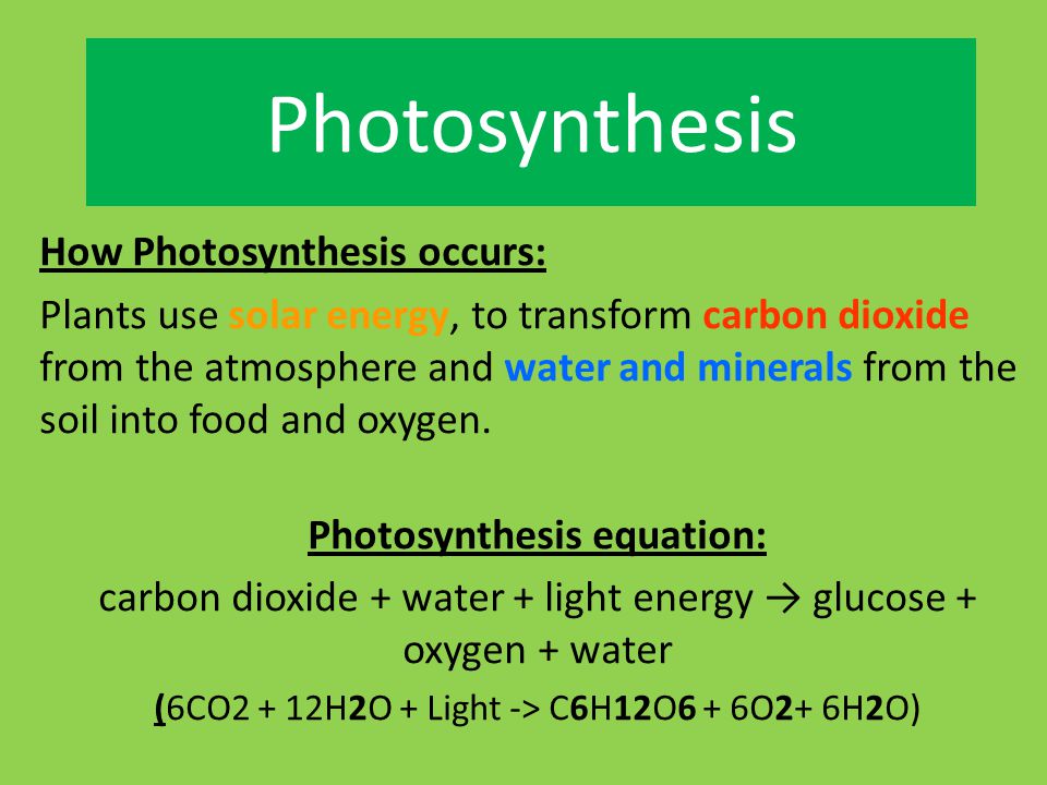 Photosynthesis equation: