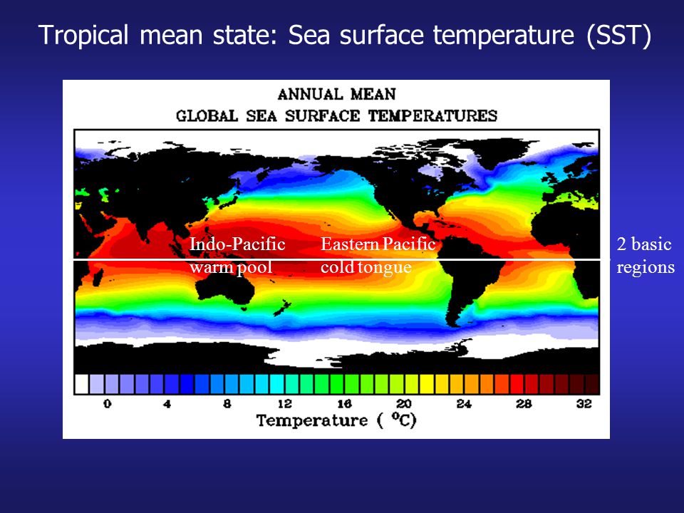 Tropical mean state: Sea surface temperature (SST)
