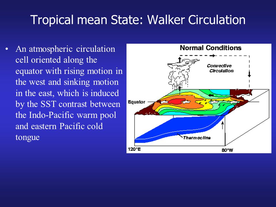 Tropical mean State: Walker Circulation