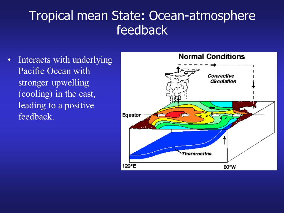 Tropical mean State: Ocean-atmosphere feedback