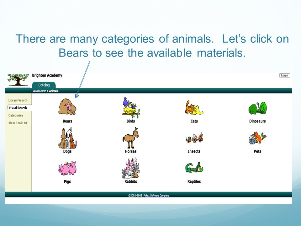 There are many categories of animals