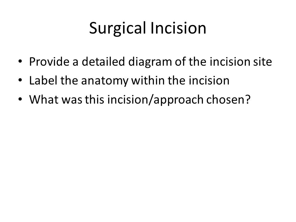 Surgical Incision Provide a detailed diagram of the incision site