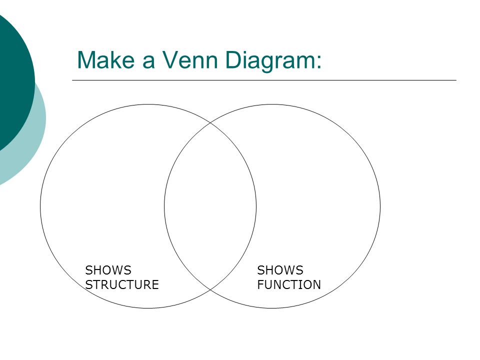 Make a Venn Diagram: SHOWS STRUCTURE SHOWS FUNCTION