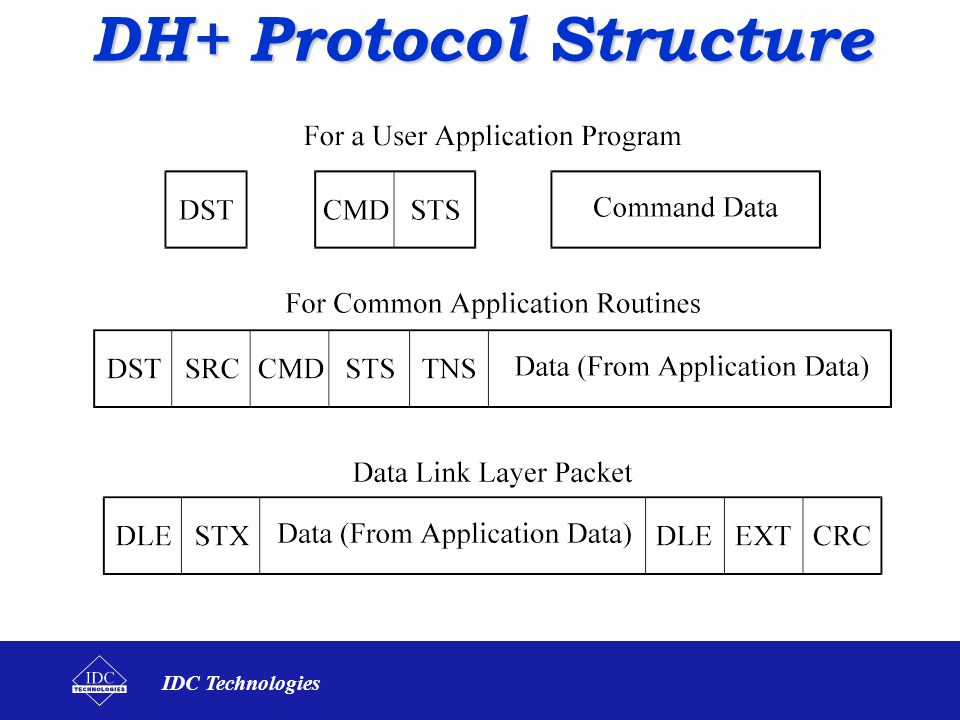 DH+ Protocol Structure