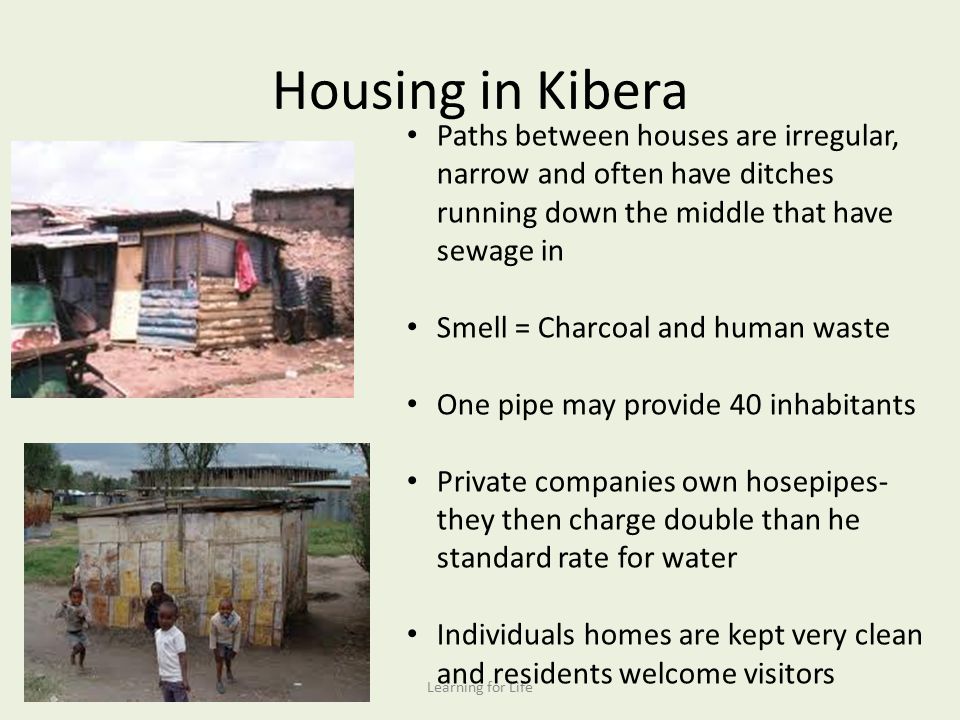 Housing in Kibera Paths between houses are irregular, narrow and often have ditches running down the middle that have sewage in.