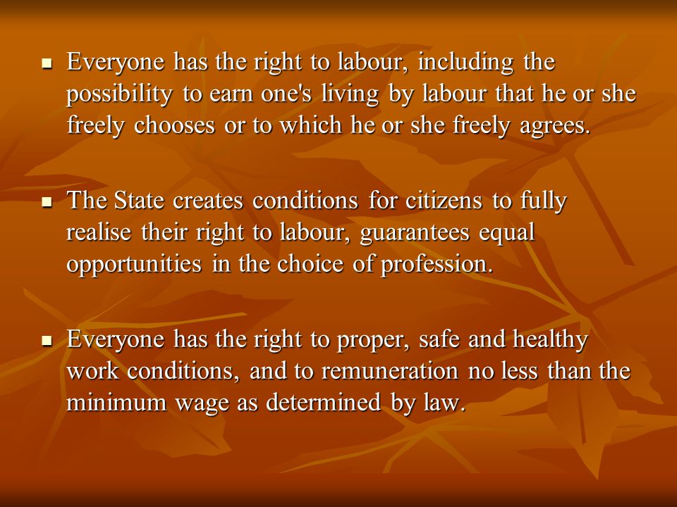 Everyone has the right to labour, including the possibility to earn one s living by labour that he or she freely chooses or to which he or she freely agrees.