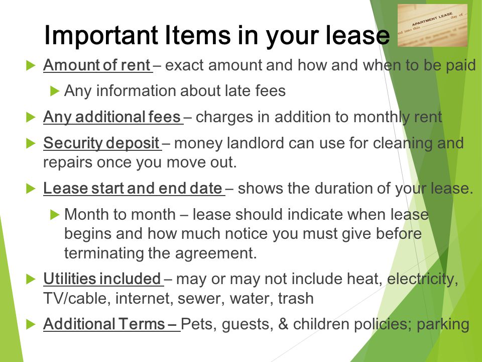 Important Items in your lease