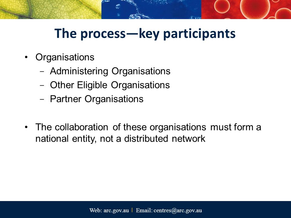 The process—key participants