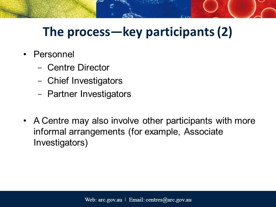 The process—key participants (2)