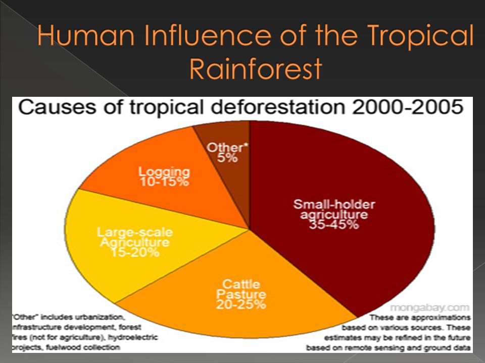 Human Influence of the Tropical Rainforest