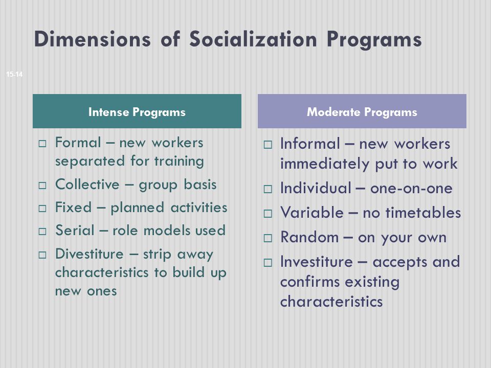 Dimensions of Socialization Programs
