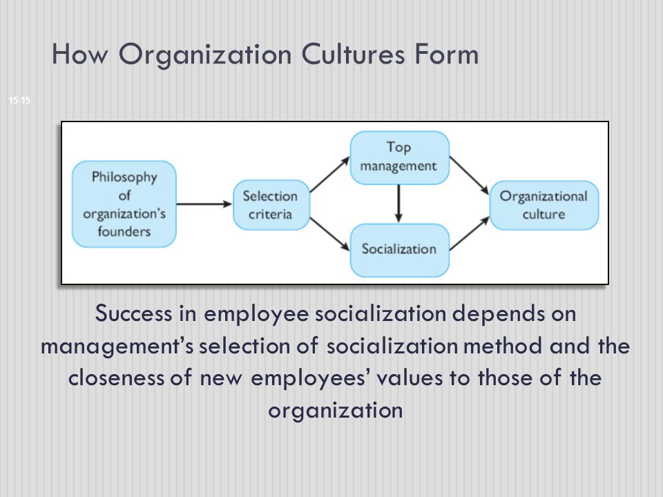 How Organization Cultures Form