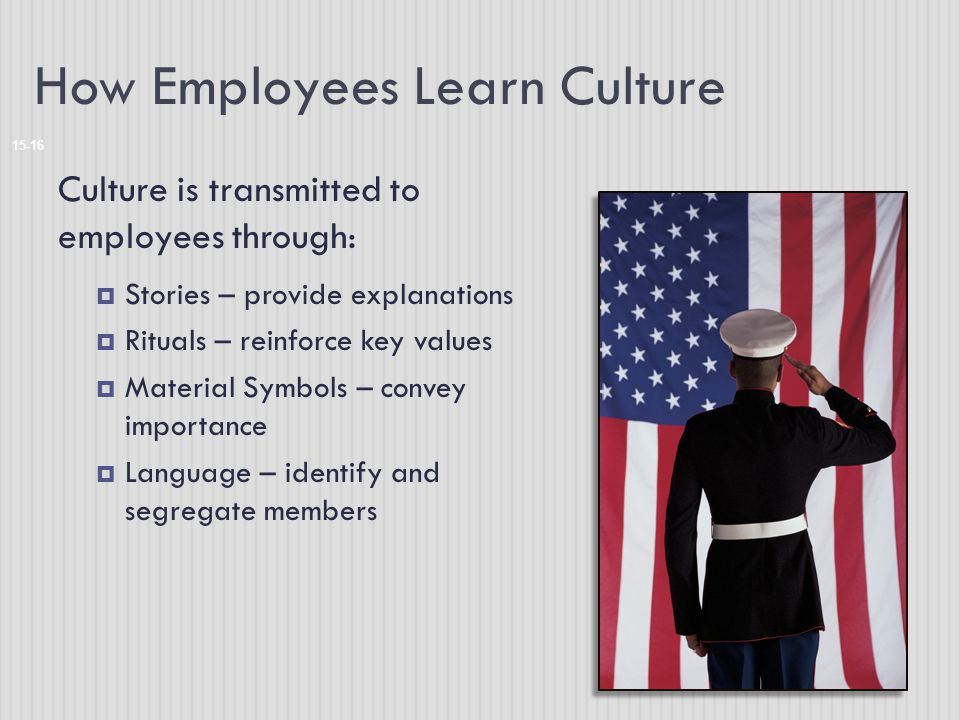 How Employees Learn Culture