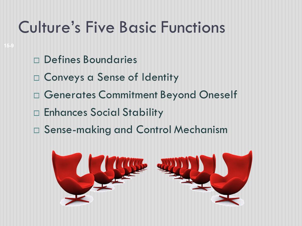 Culture’s Five Basic Functions