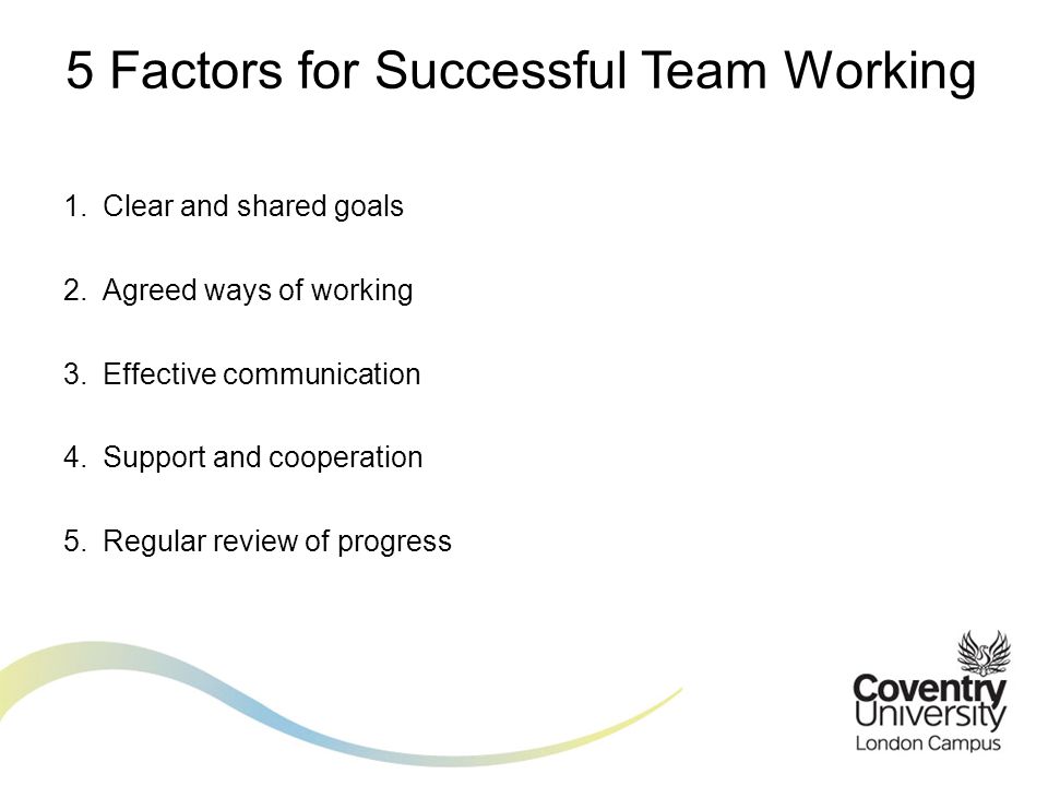 5 Factors for Successful Team Working