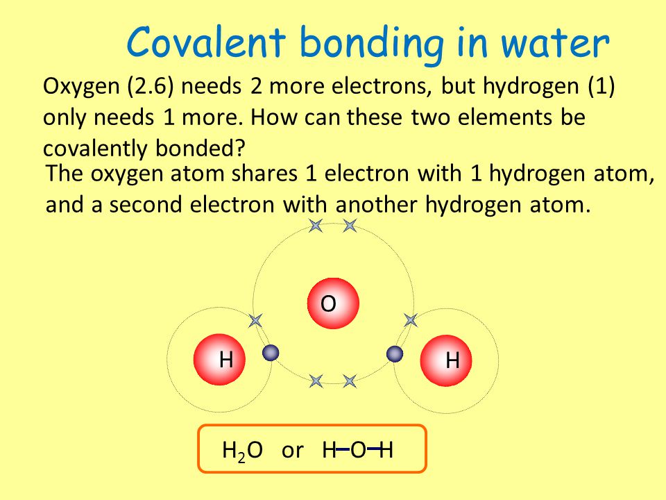 Covalent bonding in water