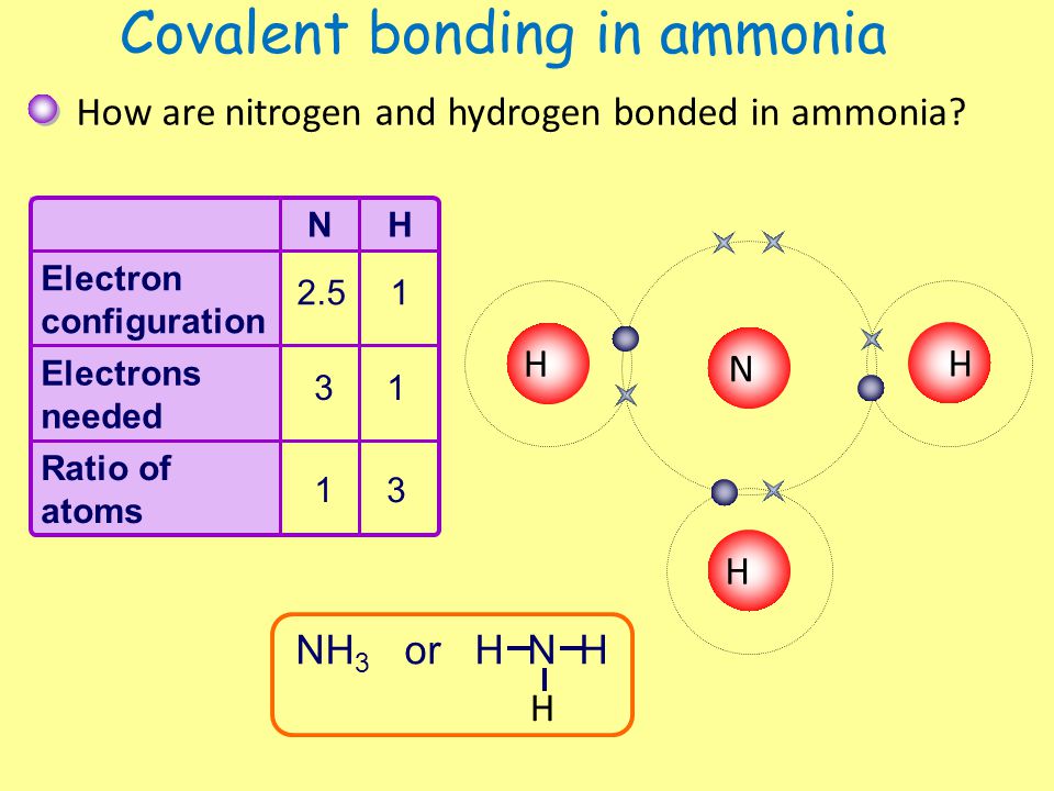 Covalent bonding in ammonia