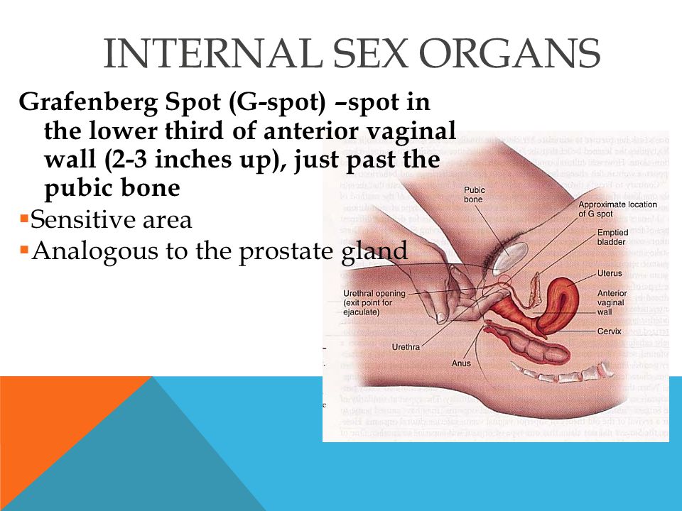 Urethral syndrome and masturbation