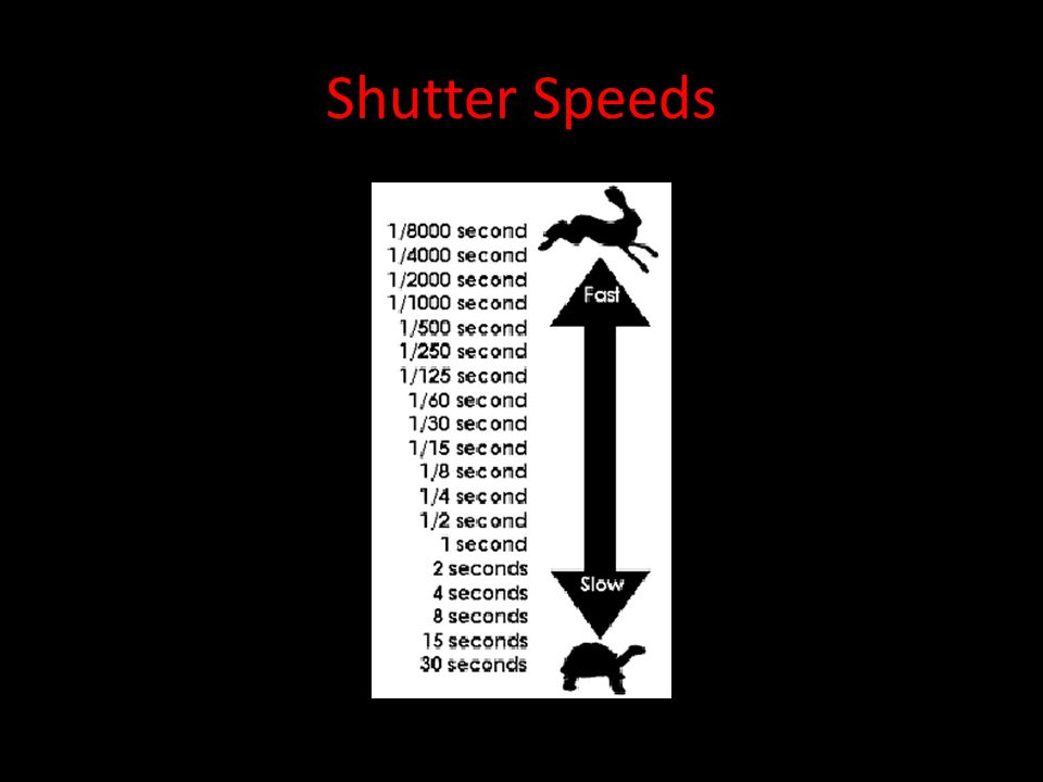Shutter Speeds