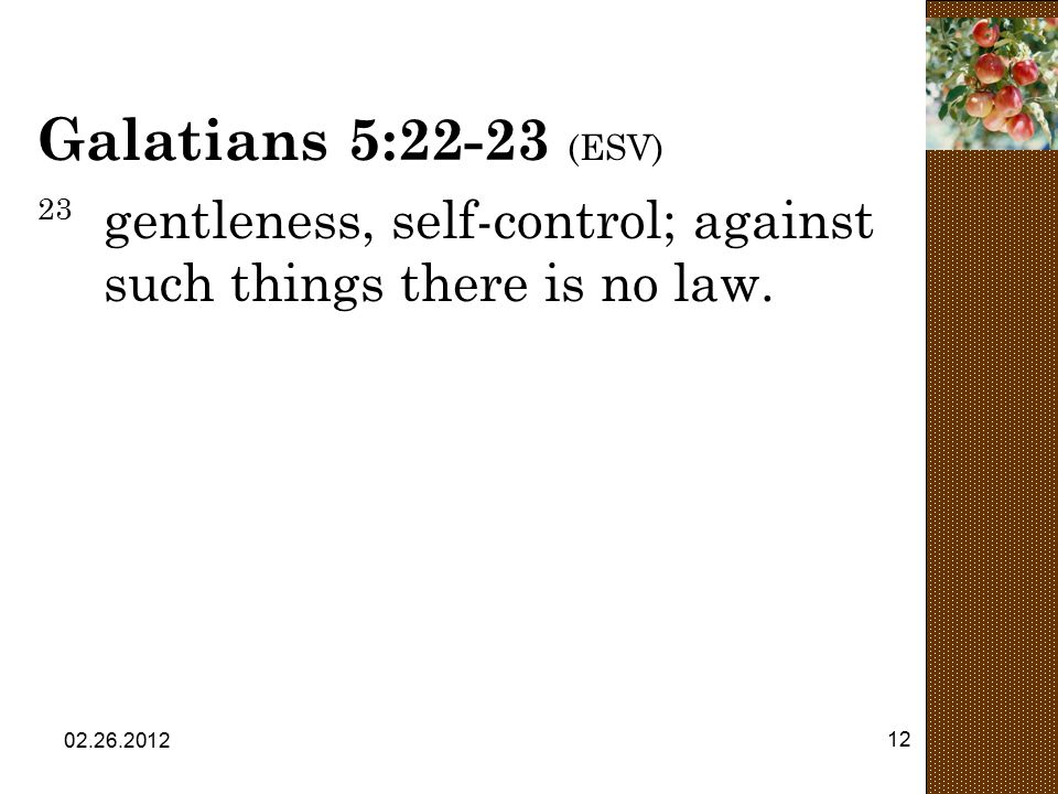 Galatians 5:22-23 (ESV) 23 gentleness, self-control; against such things there is no law.
