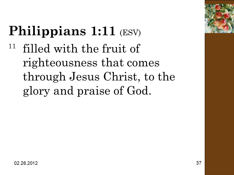 Philippians 1:11 (ESV) 11 filled with the fruit of righteousness that comes through Jesus Christ, to the glory and praise of God.