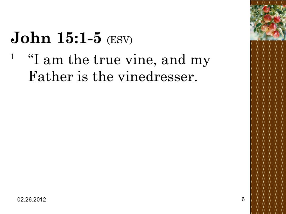 John 15:1-5 (ESV) 1 I am the true vine, and my Father is the vinedresser