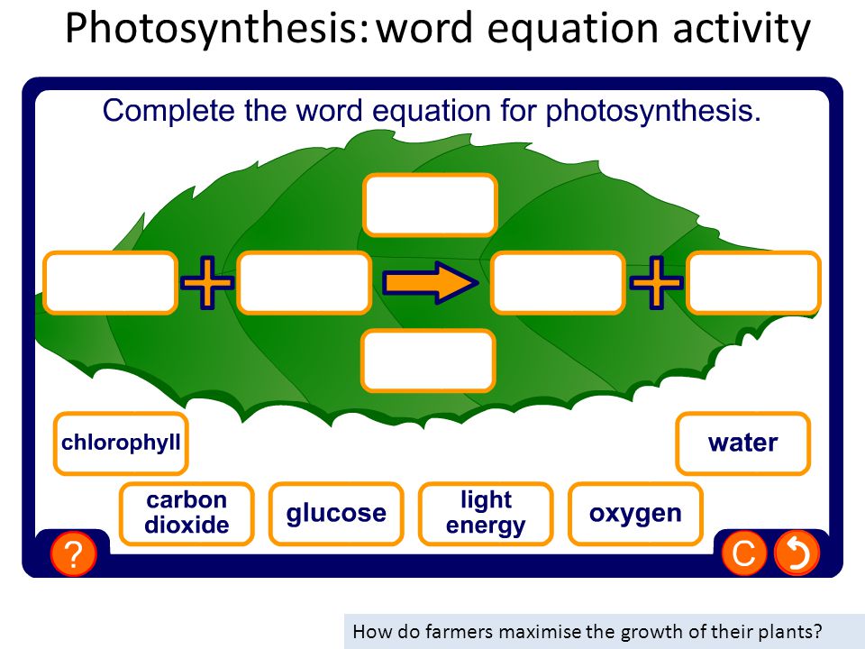 Photosynthesis: word equation activity