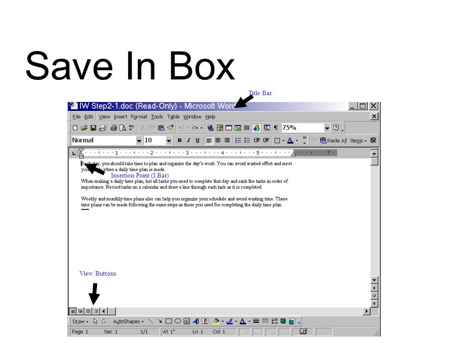 Save In Box Title Bar Insertion Point (I Bar) View Buttons