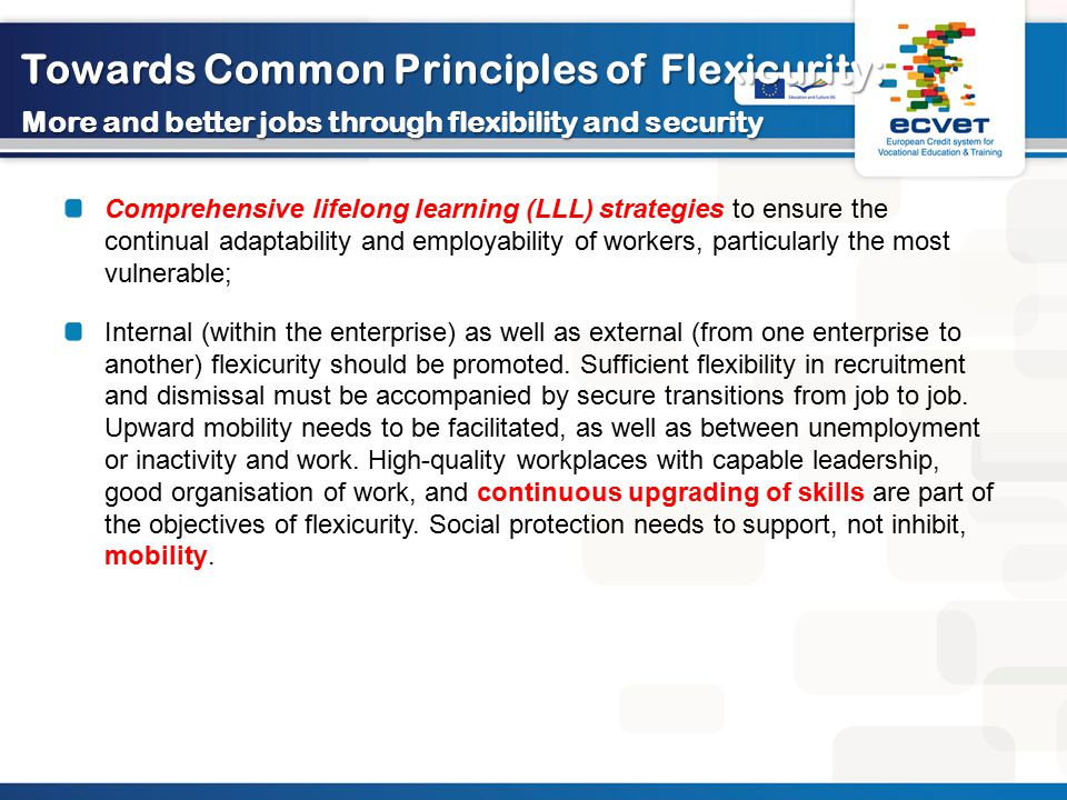 Towards Common Principles of Flexicurity: More and better jobs through flexibility and security