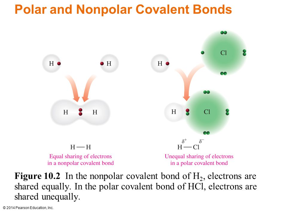Polar and Nonpolar Covalent Bonds