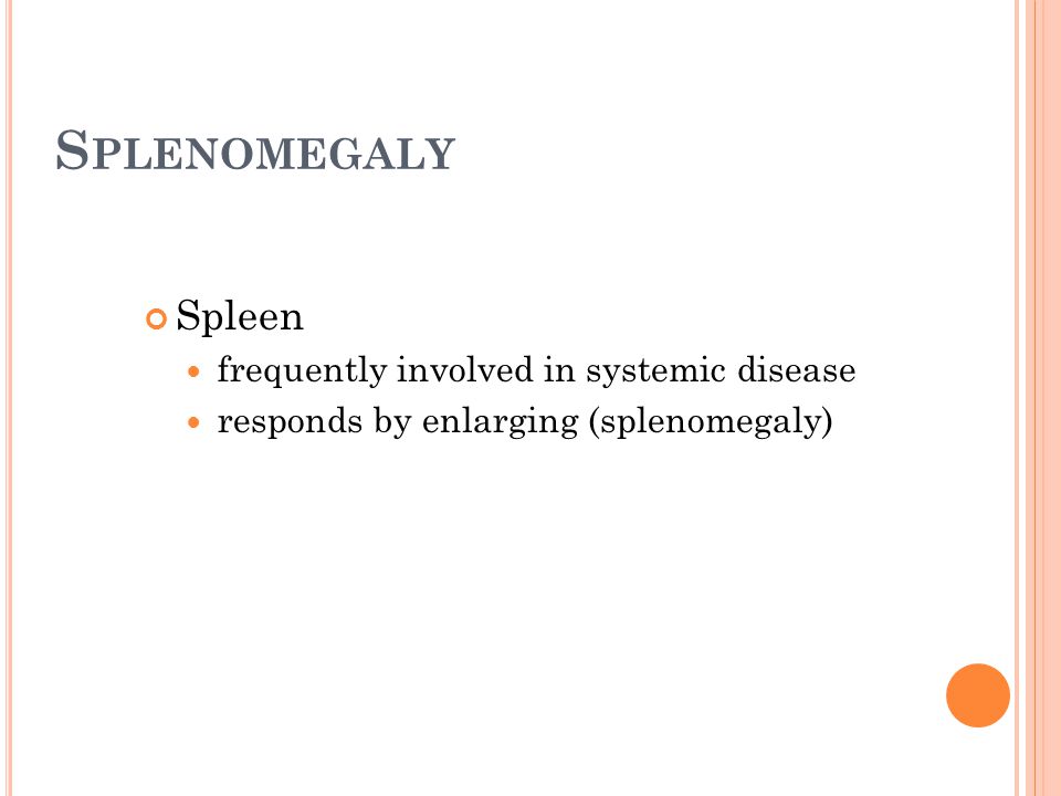 Splenomegaly Spleen frequently involved in systemic disease