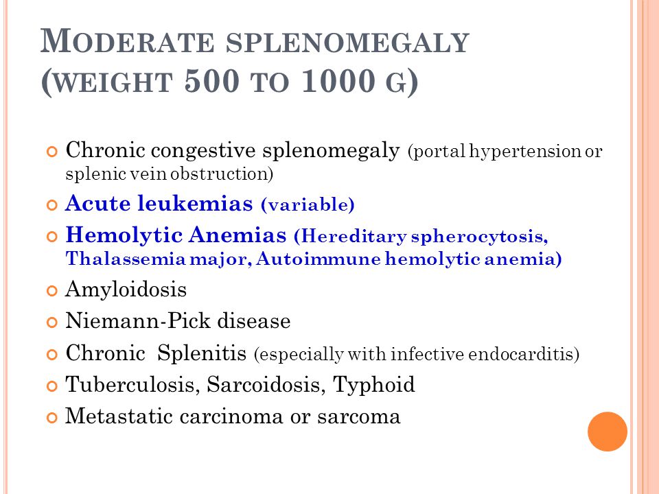Moderate splenomegaly (weight 500 to 1000 g)