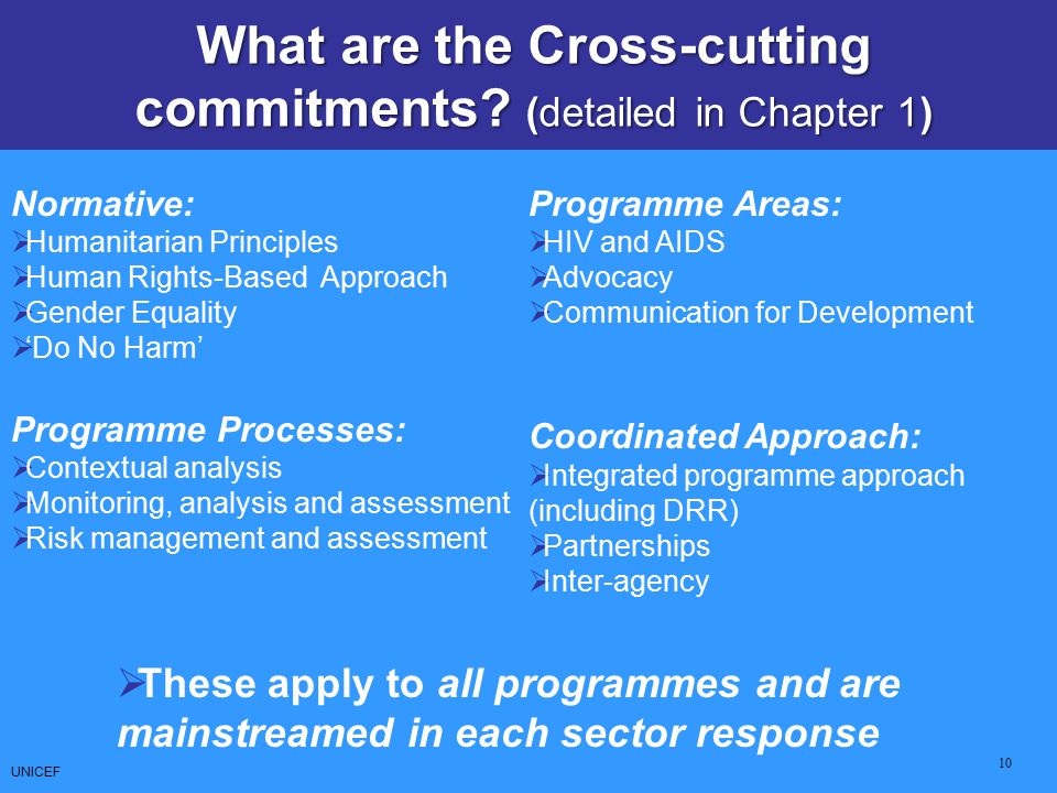 What are the Cross-cutting commitments (detailed in Chapter 1)
