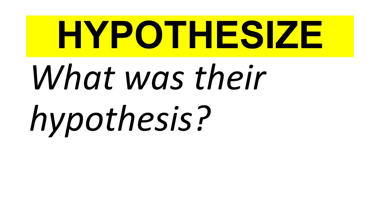 HYPOTHESIZE What was their hypothesis