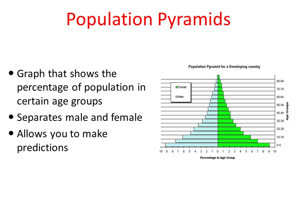 Population Pyramids Graph that shows the percentage of population in certain age groups. Separates male and female.