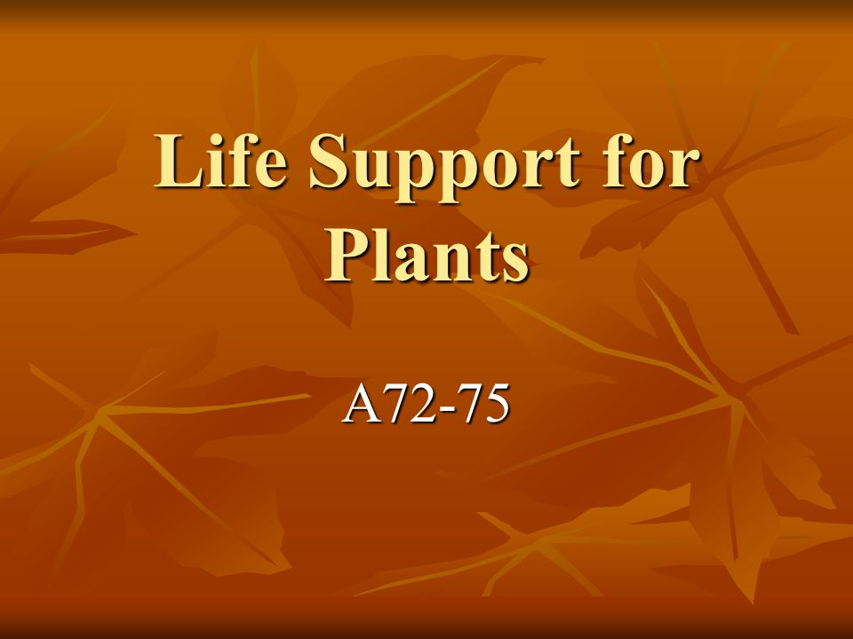 Life Support for Plants
