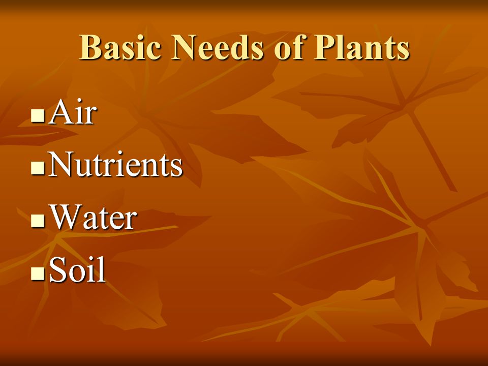 Basic Needs of Plants Air Nutrients Water Soil