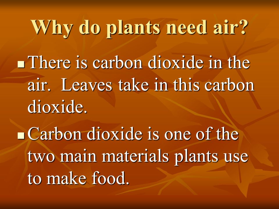 Why do plants need air There is carbon dioxide in the air. Leaves take in this carbon dioxide.