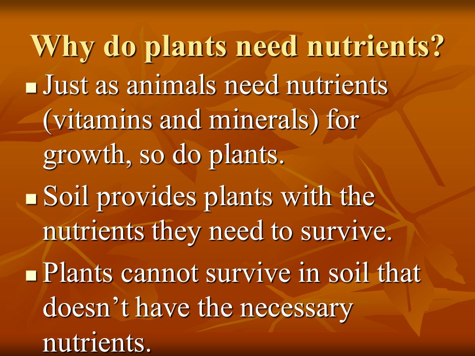 Why do plants need nutrients