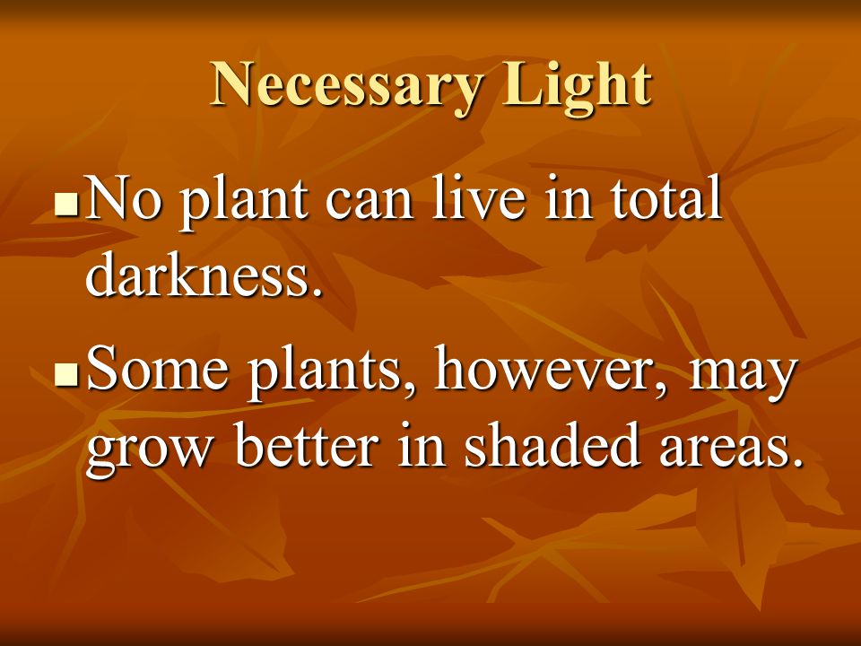 Necessary Light No plant can live in total darkness.