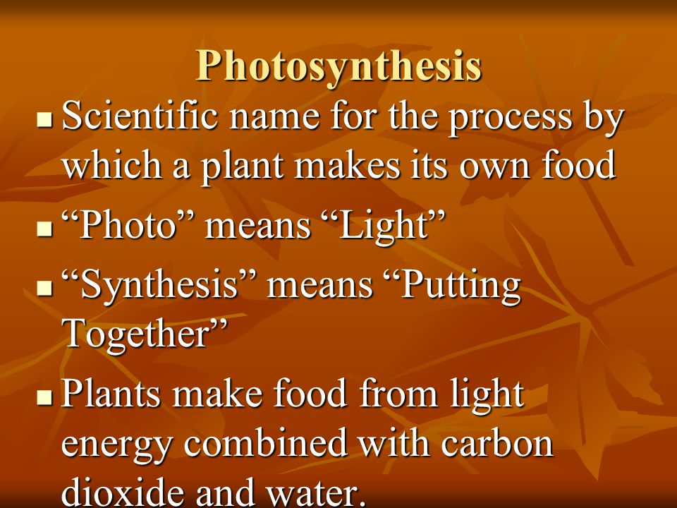 Photosynthesis Scientific name for the process by which a plant makes its own food. Photo means Light