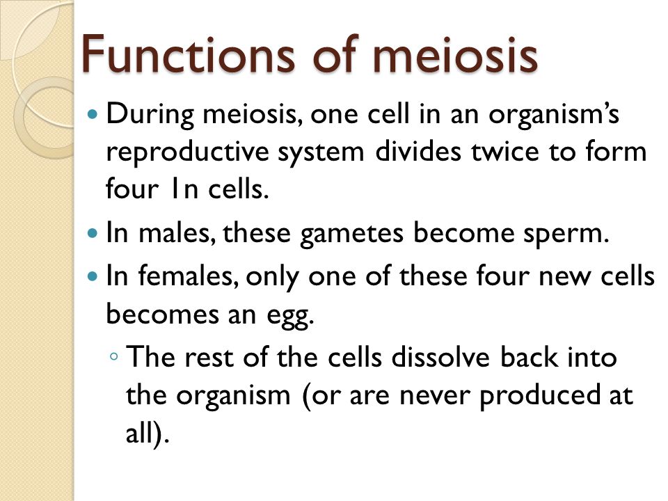 Functions of meiosis During meiosis, one cell in an organism’s reproductive system divides twice to form four 1n cells.