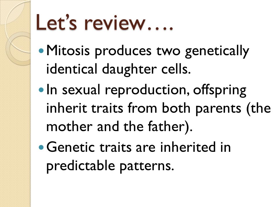 Let’s review…. Mitosis produces two genetically identical daughter cells.