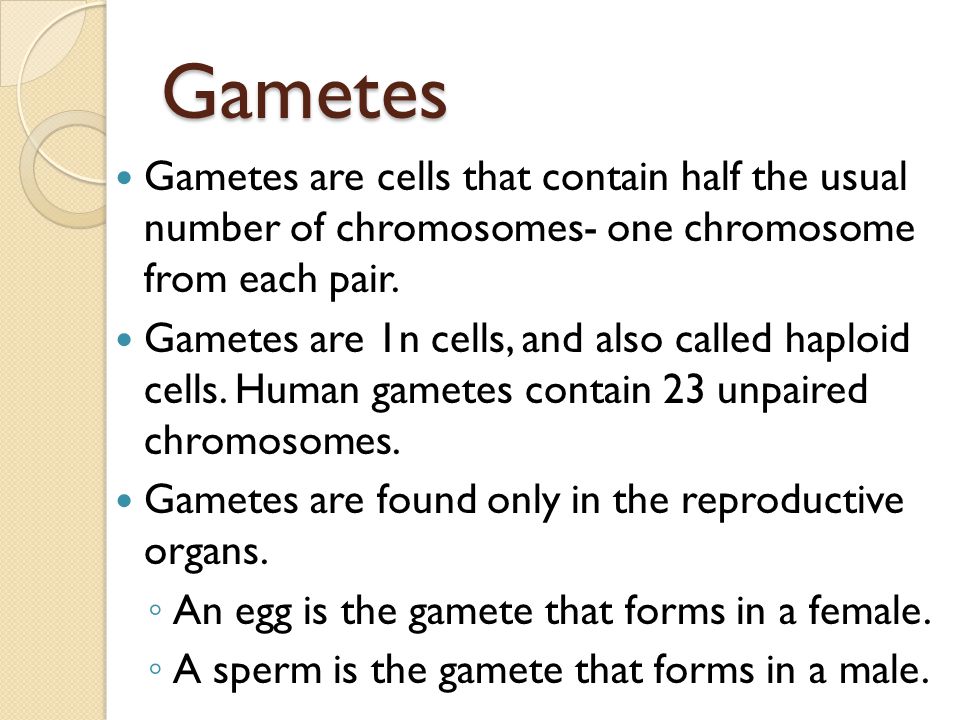 Gametes Gametes are cells that contain half the usual number of chromosomes- one chromosome from each pair.