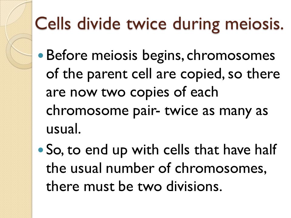 Cells divide twice during meiosis.