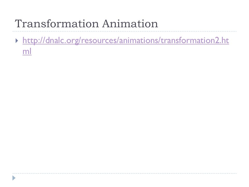 Transformation Animation