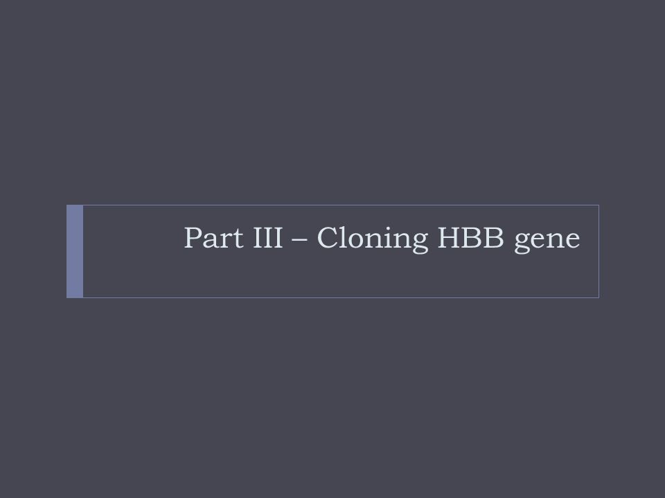 Part III – Cloning HBB gene